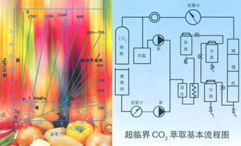 萃取产品加工服务